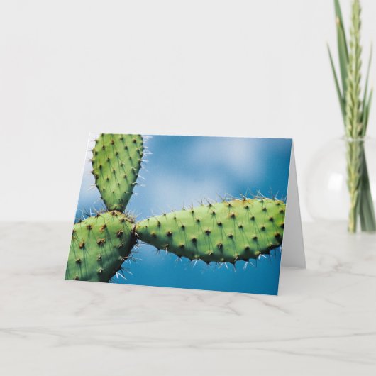 Prickley Kaktus Karte (Vorderseite)