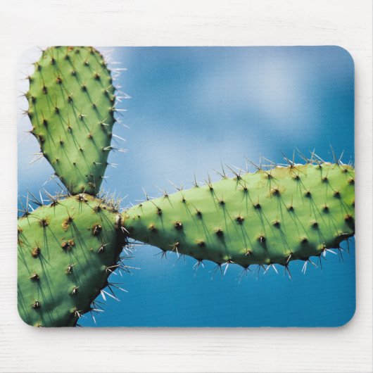 Prickley Kaktus Mousepad (Vorne)