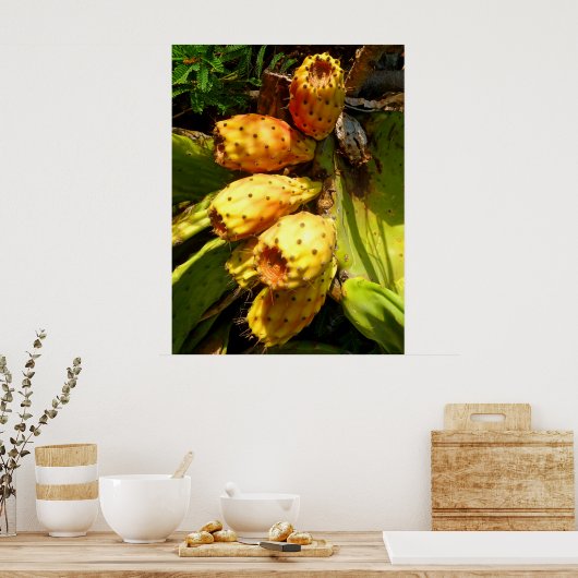 Prickley Pear Cacti Frucht Poster (Küche)