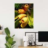 Prickley Pear Cacti Frucht Poster (Heimbüro)