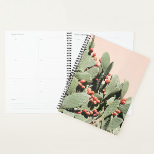 Prickley Pear Cactus Planer
