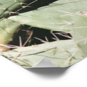 Prickley Pear Cactus Poster (Ecke)