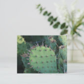 Prickley Pear Pad Postkarte (Stehend Vorderseite)