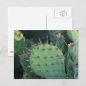 Prickley Pear Pad Postkarte (Vorne/Hinten)