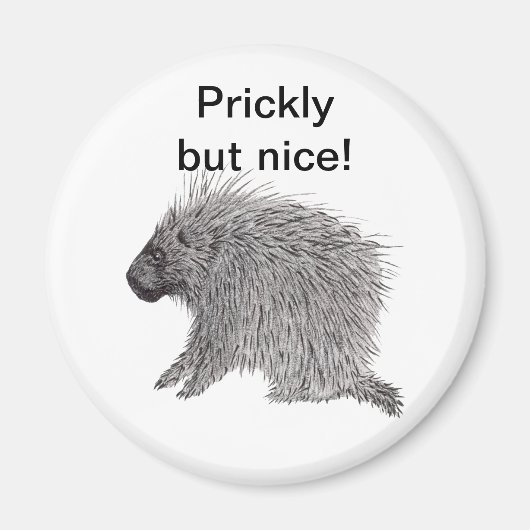 Prickly aber Nice Porcupine Magnet (Vorne)