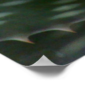 Prickly Aloe Vera Poster (Ecke)