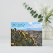 Prickly Birne, Blossom, Sierra del Carmen, Big Ben Postkarte (Stehend Vorderseite)