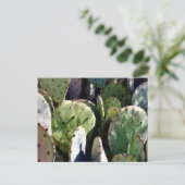 Prickly Birne Nr. 3 Postkarte (Stehend Vorderseite)