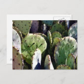 Prickly Birne Nr. 3 Postkarte (Vorne/Hinten)