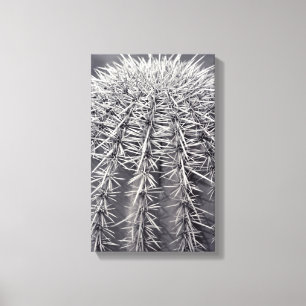 Prickly Cactus Sonoran Desert B&W Foto Art Prints Leinwanddruck
