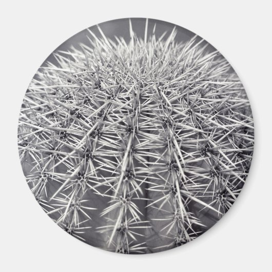 Prickly Cactus Sonoran Desert Kühlschrank Magnet (Vorne)