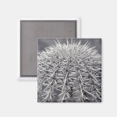 Prickly Cactus Sonoran Desert Kühlschrank Magnete Magnet (Vorderseite/Rückseite)
