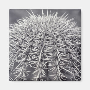 Prickly Cactus Sonoran Desert Kühlschrank Magnete Magnet