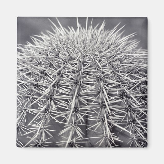 Prickly Cactus Sonoran Desert Kühlschrank Magnete Magnet (Vorne)