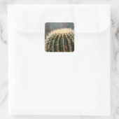 Prickly Cactus Sticker (Tasche)