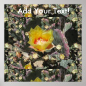 Prickly Pear Black gesponnen Poster (Vorne)