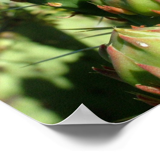 Prickly Pear Blooms Poster (Ecke)