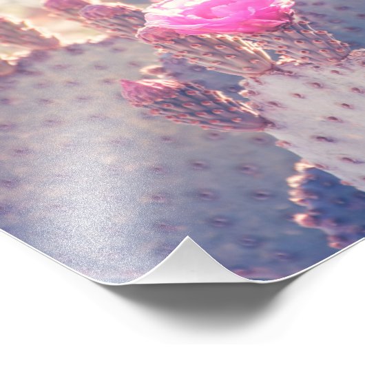 Prickly Pear Blossom | FOTO (Ecke)