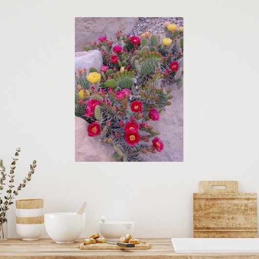 Prickly Pear Cacti Poster (Küche)