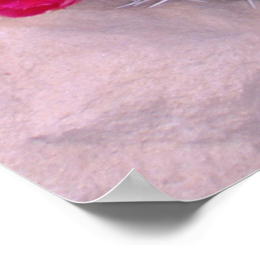 Prickly Pear Cacti Poster (Ecke)