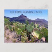 Prickly Pear Cactus Big Bend Postkarte (Vorderseite)