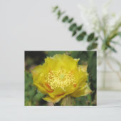 Prickly Pear Cactus Blooms Postkarte (Stehend Vorderseite)