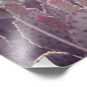 Prickly Pear Cactus Blume | FOTO (Ecke)