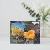 Prickly Pear Cactus Blume / Orange / Arizona USA Postkarte (Stehend Vorderseite)
