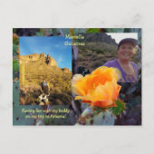 Prickly Pear Cactus Blume / Orange / Arizona USA Postkarte (Vorderseite)