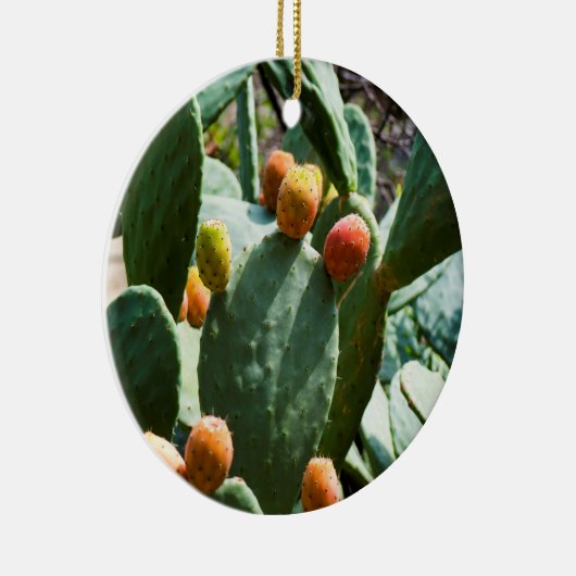 Prickly Pear Cactus Fruit Keramik Ornament (Rechts)