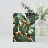 Prickly Pear Cactus Fruit Postkarte (Stehend Vorderseite)