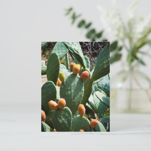 Prickly Pear Cactus Fruit Postkarte (Stehend Vorderseite)