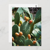 Prickly Pear Cactus Fruit Postkarte (Vorne/Hinten)
