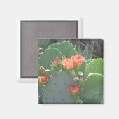 Prickly Pear Cactus Green Red Bloom Magnet (Vorderseite/Rückseite)