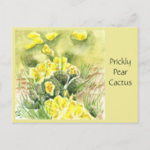 Prickly Pear Cactus Post C itte