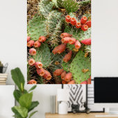 Prickly Pear Cactus Poster (Heimbüro)