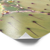 Prickly Pear Closeup | FOTO (Ecke)