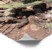 Prickly Pear Geschenke Poster (Ecke)