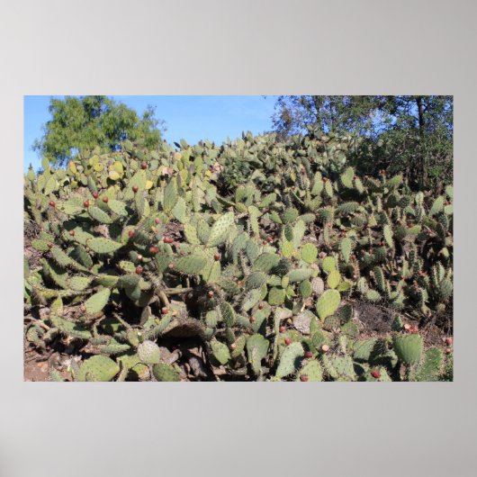 Prickly Pear Geschenke Poster (Vorne)