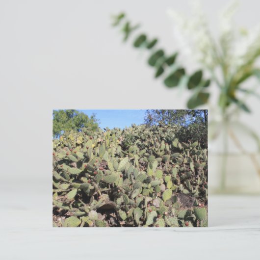 Prickly Pear Geschenke Postkarte (Stehend Vorderseite)