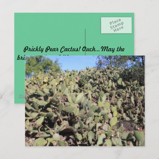 Prickly Pear Geschenke Postkarte (Vorne/Hinten)