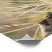 Prickly Pear Heart Poster (Ecke)