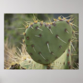 Prickly Pear Heart Poster (Vorne)