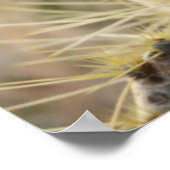 Prickly Pear Heart Poster (Ecke)