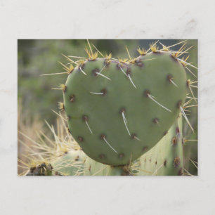 Prickly Pear Heart Postkarte