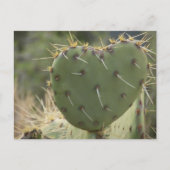 Prickly Pear Heart Postkarte (Vorderseite)