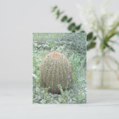 Prickly Pink Petals Cactus Arizona Foto Postkarte (Stehend Vorderseite)