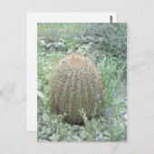 Prickly Pink Petals Cactus Arizona Foto Postkarte (Vorne/Hinten)