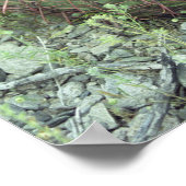 Prickly Pink Petals Cactus Art Print Poster (Ecke)