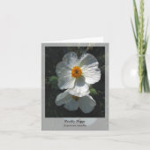 Prickly Poppy - Native Notecard Karte (Vorderseite)